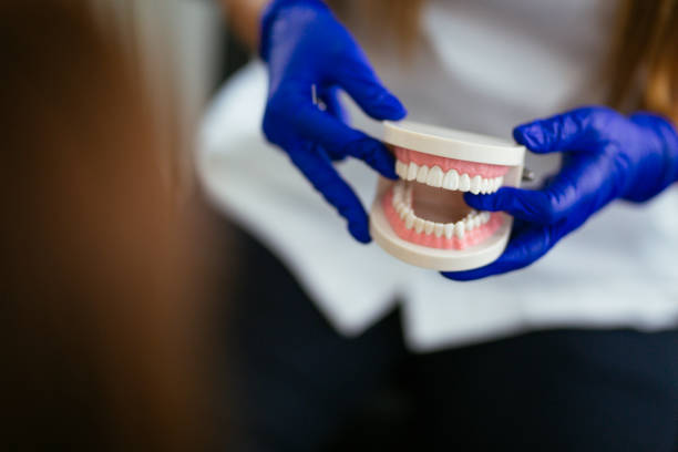 Best Pediatric Dentistry  in Caledonia, MN